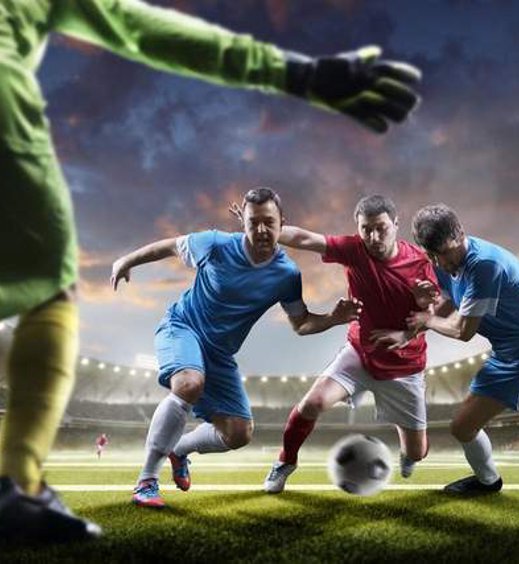 乐鱼(leyu)官网介绍